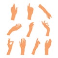 Poses of female hands set. Gesturing. People`s hands in different positions. Human palms and wrist