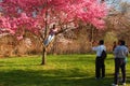 Posing in the cherry trees