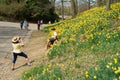 Posing for pictures with daffodils in Cleveland, Ohio