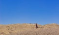 Posing woman portrait Israeli desert landscape colorful travel photography human emotion concept vivid blue sky background empty