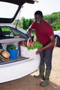 Positive african american puts basket with vegetables in car trunk