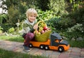 positive cheerful boy is carrying basket with organic farm apples and grapes on a big toy car - a truck Royalty Free Stock Photo