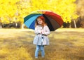 Positive cute child with colorful umbrella in autumn day