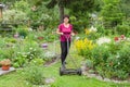 Positive elderly woman mowing grass with lawn mower in the garden Royalty Free Stock Photo