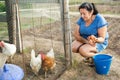 Elderly woman collecting chicken eggs in poultry house on smallholding Royalty Free Stock Photo