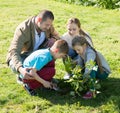 Positive family with two kids placing a new tree