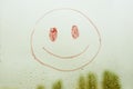 Positive funny smiley on a rainy window Royalty Free Stock Photo