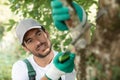 positive gardener cutting tree branch with trimmer in park Royalty Free Stock Photo