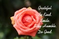 Positive inspirational motivational words - Grateful. Be kind. Smile. Stay humble. Do Good. With beautiful peach rose flower.