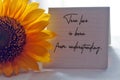 Positive inspirational quote on a notepaper with sunflower on the table - True love is born from understanding. Words of wisdom