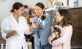 Woman with daughter adopting cat from shelter talking to female volunteer Royalty Free Stock Photo