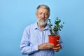 Positive kind old bearded man holding flower pot with green plant house Royalty Free Stock Photo
