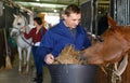 Farm worker feeding horse with hay Royalty Free Stock Photo