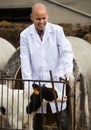 Positive Male vet employee  with dairy cattle in livestock farm Royalty Free Stock Photo