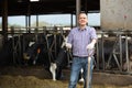 Positive man farm worker feeding cows with hay