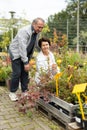 Old man and woman customers inspecting potted bushes while buying plants for their garden in market Royalty Free Stock Photo