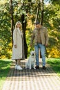 Positive mature couple with labrador dog Royalty Free Stock Photo