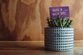 Positive Mind for Daily Life Concept. Have a Nice Day Text on Paper Card in Small Cactus Pot Royalty Free Stock Photo
