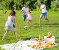 Positive parents with two kids playing soccer together on green field on summer day Royalty Free Stock Photo