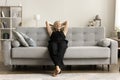 Positive pretty mature woman relaxing on comfortable grey sofa Royalty Free Stock Photo