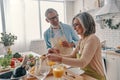 Positive senior couple in aprons Royalty Free Stock Photo