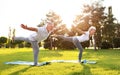 Positive senior couple practicing partner yoga in nature on open air in park