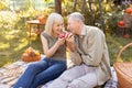 Positive senior couple sitting on field grass and enjoy eating apple, chatting and laughing, resting outdoors in garden Royalty Free Stock Photo