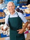 Positive senior male owner of greengrocery shop in apron offering fresh fruits and vegetables Royalty Free Stock Photo