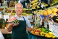 Positive senior male owner of greengrocery shop in apron offering fresh fruits and vegetables Royalty Free Stock Photo