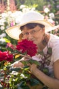 Positive smiling senior woman smelling beautiful red roses in a summer garden Royalty Free Stock Photo