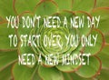 Positive uplifting mindset quote on a green succulent plant ba