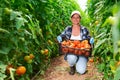 Positive woman agriculturist with crate of tomatoes