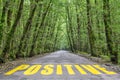 Jungle road to positive Royalty Free Stock Photo