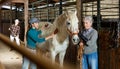 Women workers brushing white racehorse after riding in stable Royalty Free Stock Photo