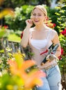 Blond woman taking care of red rose bushes Royalty Free Stock Photo