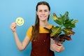 Positive young female gardener in red apron holding small yellow funny face emoticon and green plant, smiles broadly, isolated on Royalty Free Stock Photo