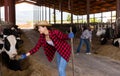 Positive young girl on a farm feeds a cow with silage Royalty Free Stock Photo