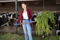 Positive young girl on a livestock farm, holding a pitchfork with freshly cut grass