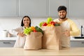 Positive young indian couple pointing at grocery bags Royalty Free Stock Photo