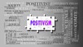 Positivism as a complex subject, related to important topics spreading around as a word cloud