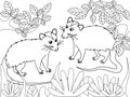 Possum family. Children coloring. Black lines, white background. Cartoon raster