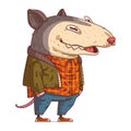 A Possum Guy, isolated vector illustration. Funny cartoon casually dressed opossum. Drawn animal sticker.