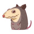 A Possum, isolated vector illustration. Funny cartoon picture for children of smiling friendly opossum sitting