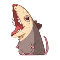 A Possum, isolated vector illustration. Funny cartoon picture of a hungry opossum with its mouth open
