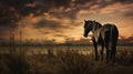 Post-apocalyptic Sunset: Majestic Black Horse Grazing In A Grass Field