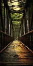 Wooden Bridge Through Post-apocalyptic Woods Royalty Free Stock Photo