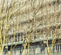 Post card view: european city street with spring tree on building facade Royalty Free Stock Photo