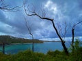 Post-Fire Beach in Australia