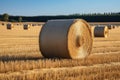 Post harvest beauty Golden hay bales adorn the vast agricultural field Royalty Free Stock Photo
