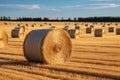 Post harvest beauty Golden hay bales adorn the vast agricultural field Royalty Free Stock Photo